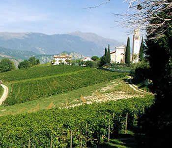 Bed & Breakfast Alice Relais Nelle Vigne 2*